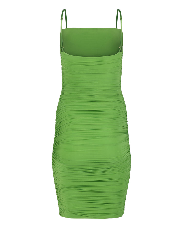 SHIMMER SNATCH MINI // FROG